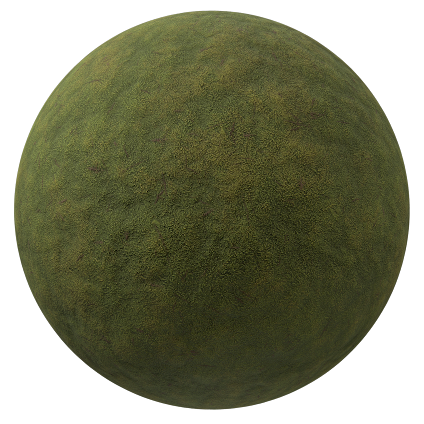 Moss Surface